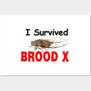 I survived Brood X Posters and Art